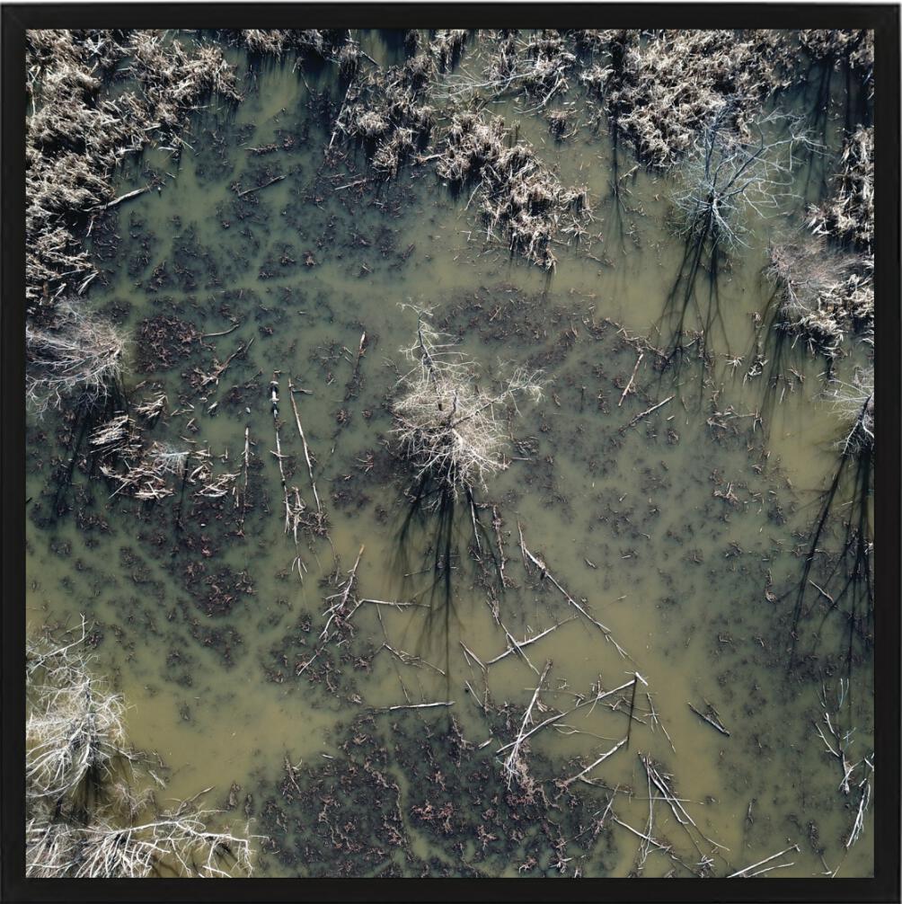 Flood